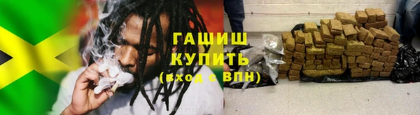 индика Абаза