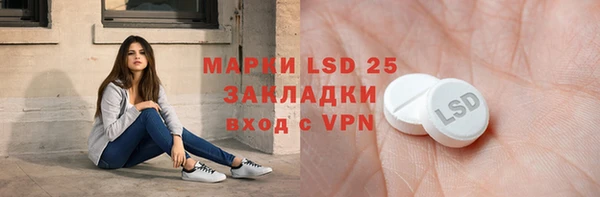 индика Абаза