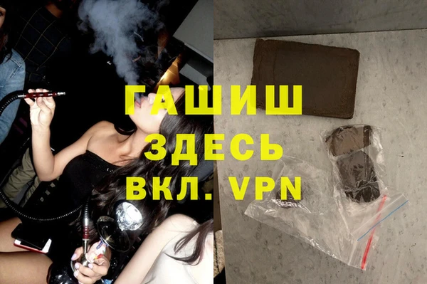 индика Абаза