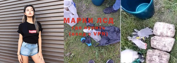 ПСИЛОЦИБИНОВЫЕ ГРИБЫ Рославль