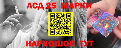 прущие грибы Апшеронск