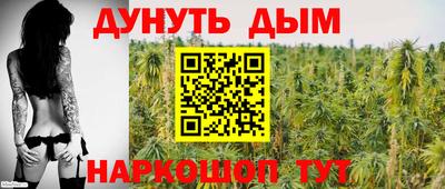 прущие грибы Апшеронск