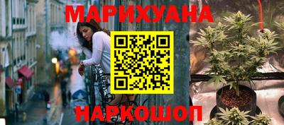 прущие грибы Апшеронск