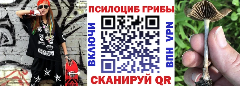 Галлюциногенные грибы Psilocybine cubensis  продажа наркотиков  Абинск 