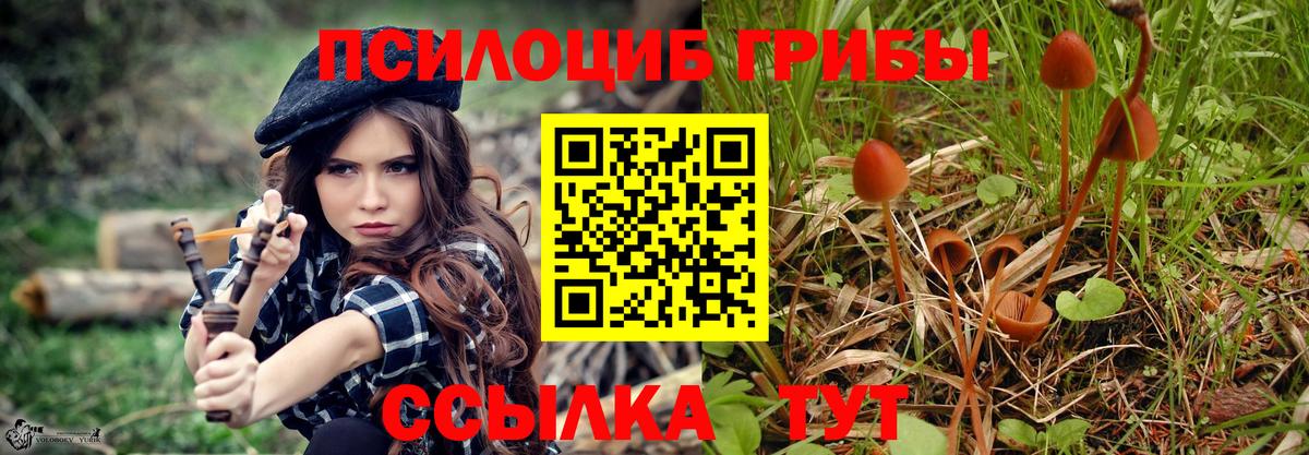 Галлюциногенные грибы MAGIC MUSHROOMS  Вход с VPN  наркота  Абинск 