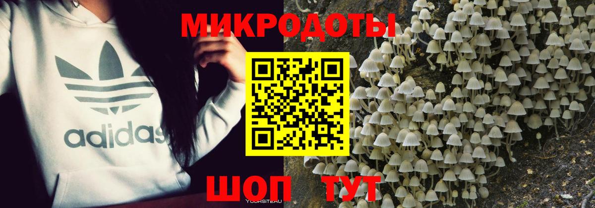 Псилоцибиновые грибы MAGIC MUSHROOMS Абинск
